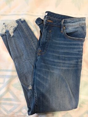 Vigoss Blue Distressed Skinny Jeans